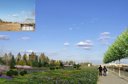 逐梦国际 10172