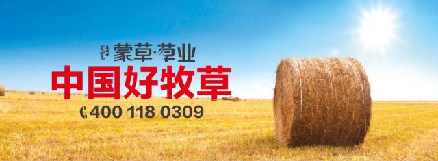 逐梦国际 a7983