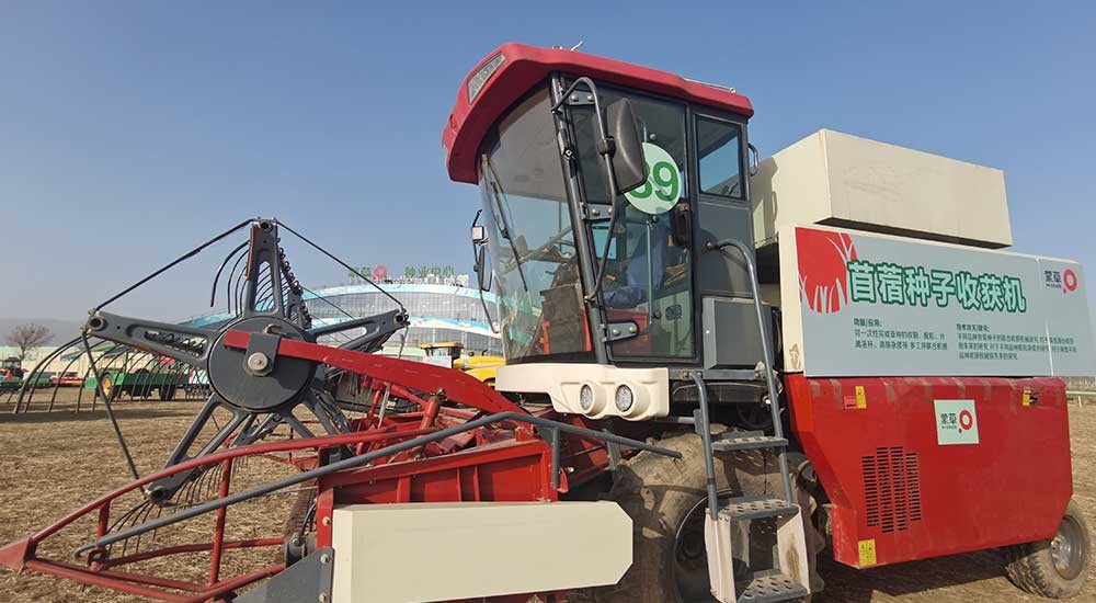 逐梦国际 f886b