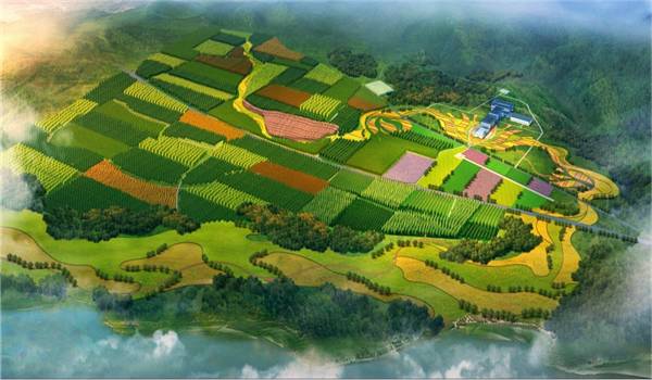 逐梦国际官方网站图片