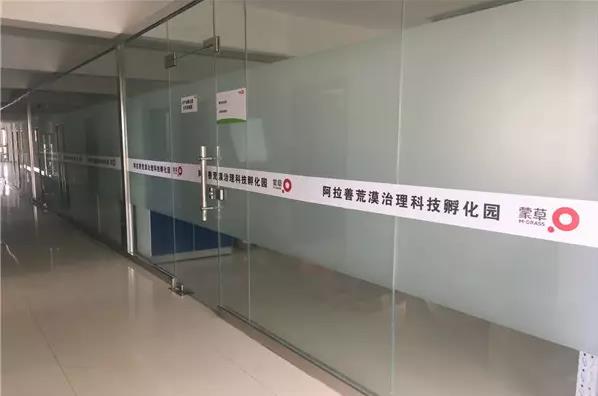 逐梦国际官方网站图片