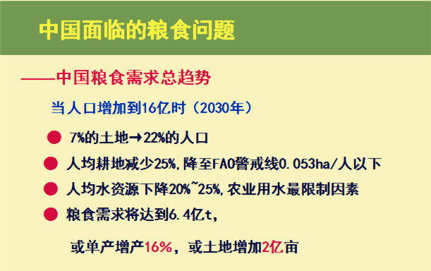 逐梦国际官方网站图片