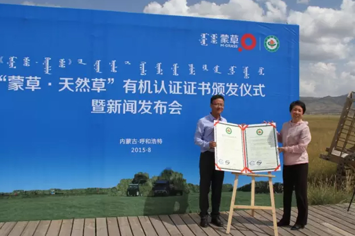 逐梦国际官方网站图片