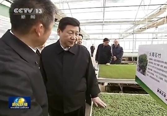 逐梦国际官方网站图片