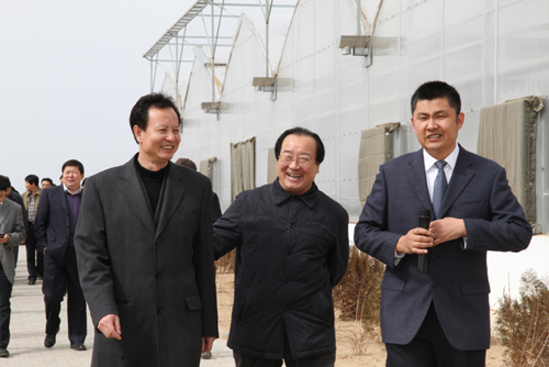 逐梦国际官方网站图片