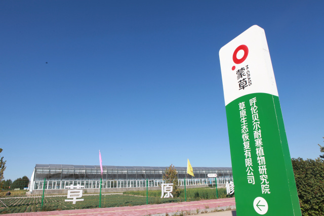 逐梦国际 ccc82