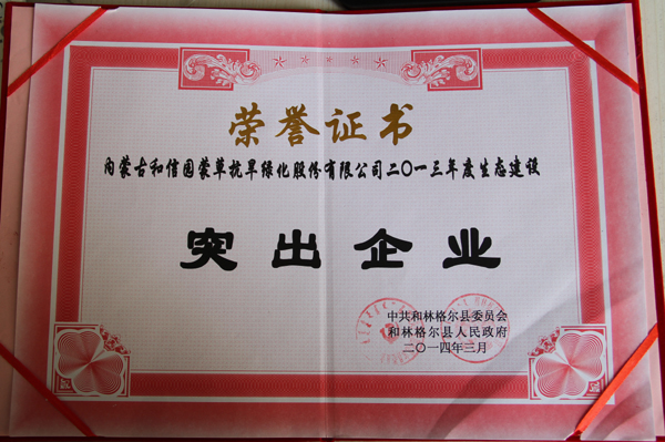 逐梦国际官方网站图片