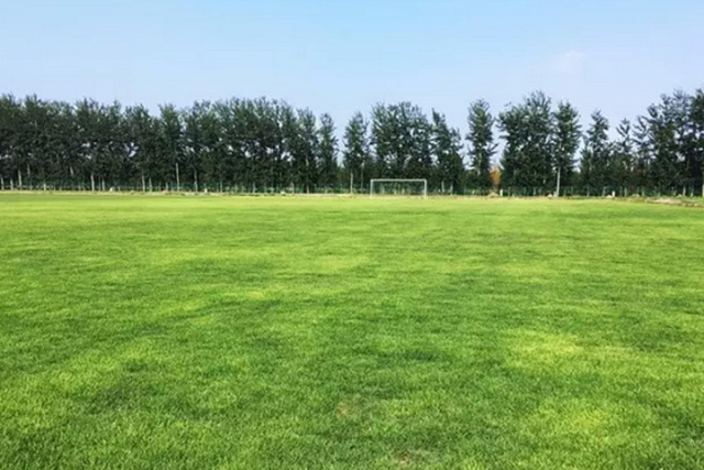 逐梦国际 8d79d