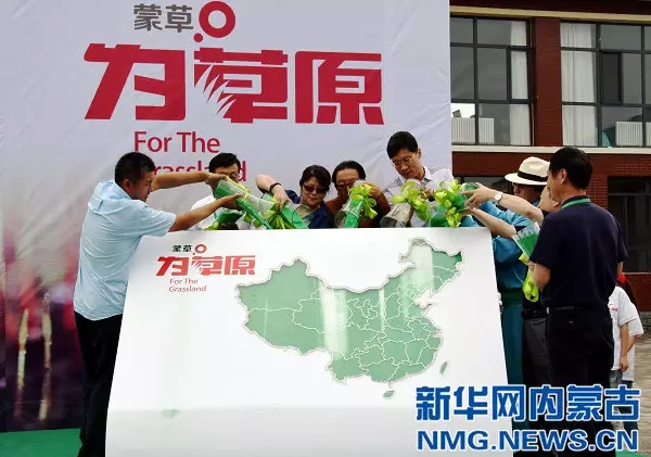 逐梦国际官方网站图片