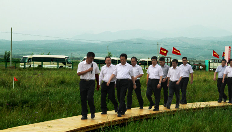 逐梦国际 3b301