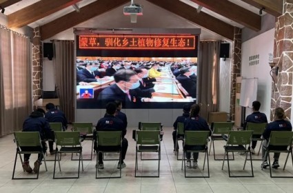 逐梦国际 e3784