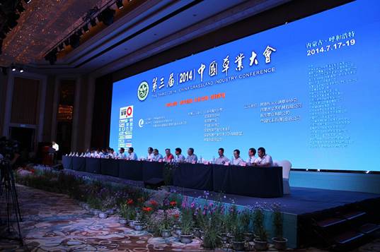 逐梦国际官方网站图片
