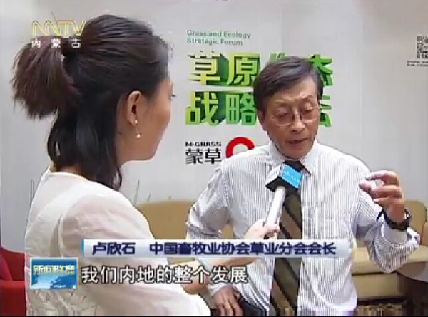 逐梦国际官方网站图片