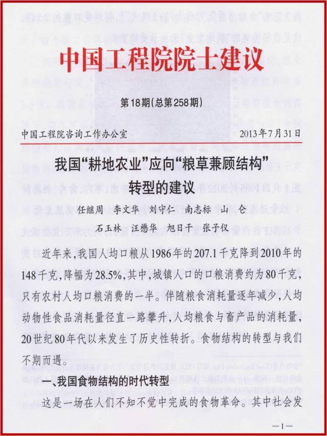 逐梦国际官方网站图片