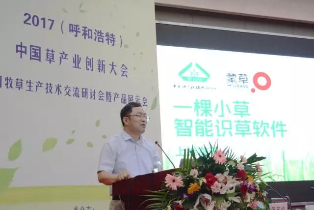 逐梦国际官方网站图片