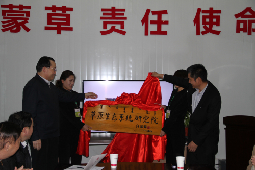 逐梦国际官方网站图片