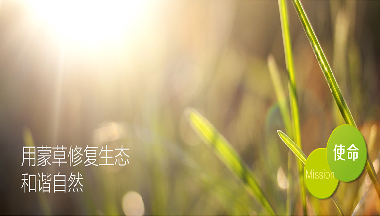 逐梦国际 d0b65