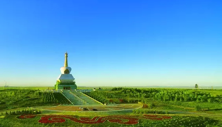 逐梦国际 d3323
