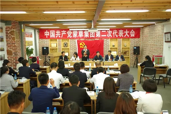 逐梦国际官方网站图片