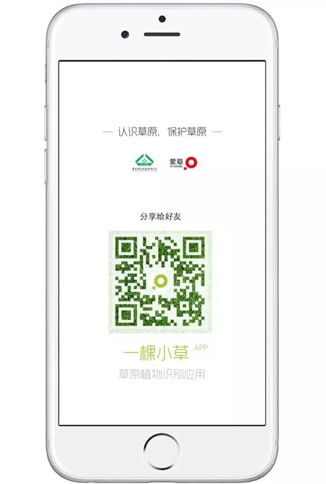 逐梦国际官方网站图片