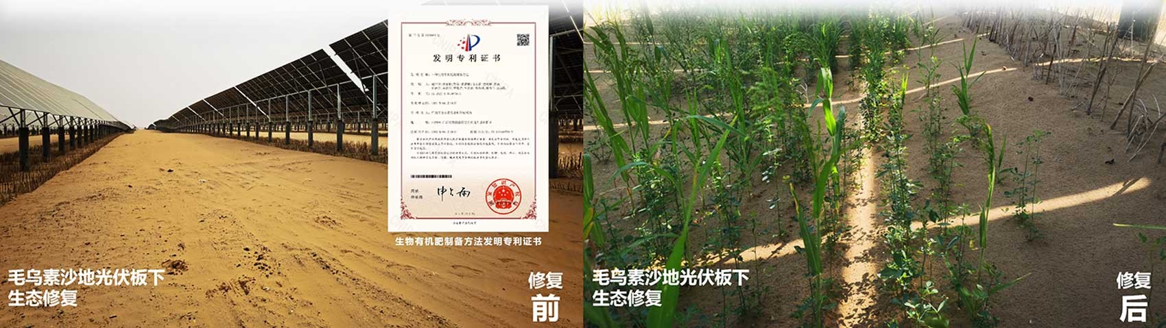 逐梦国际 162c2