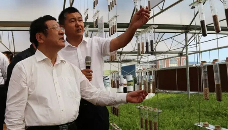 逐梦国际 7ac98