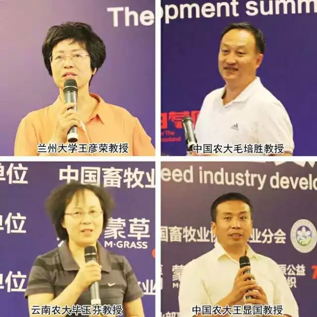 逐梦国际官方网站图片