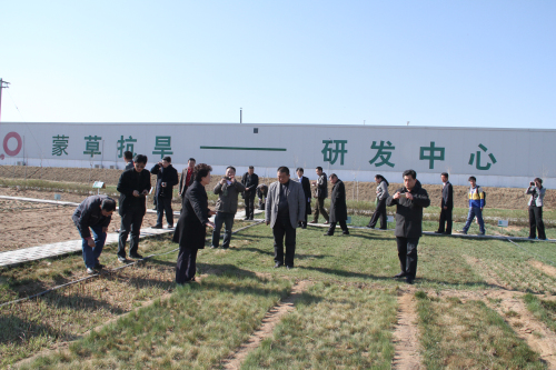 逐梦国际官方网站图片