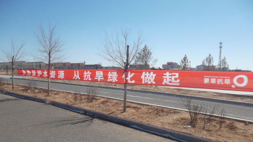 逐梦国际官方网站图片