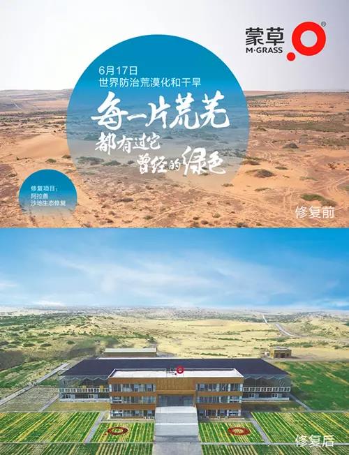 逐梦国际官方网站图片
