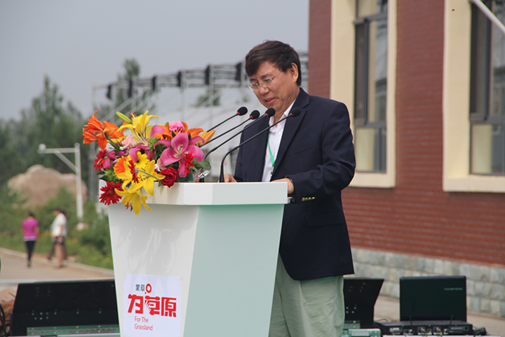 逐梦国际官方网站图片