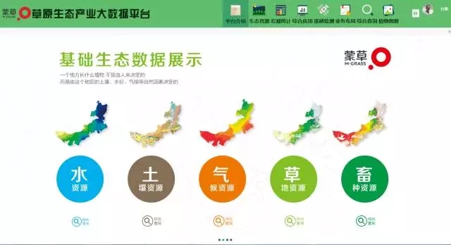 逐梦国际官方网站图片