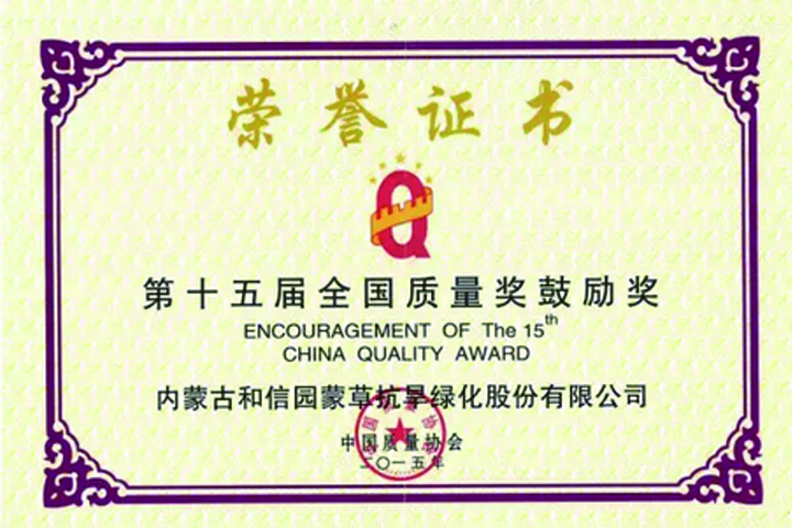 逐梦国际官方网站图片