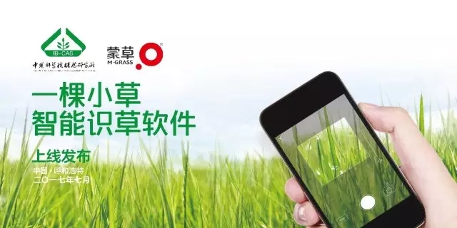 逐梦国际官方网站图片