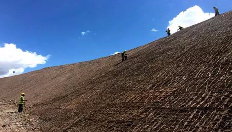 逐梦国际 31503