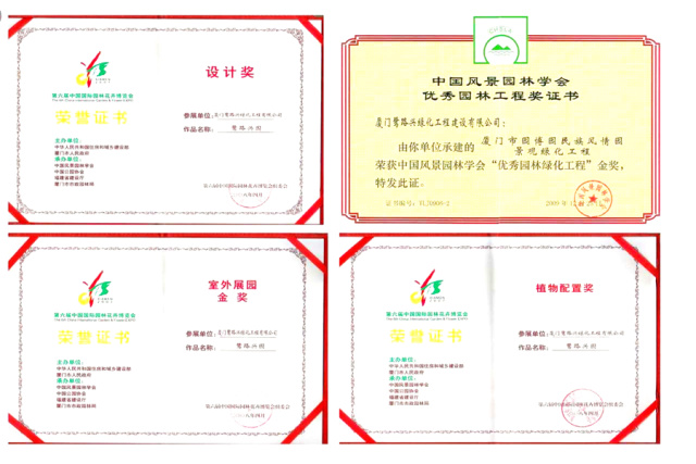 逐梦国际 48a8e