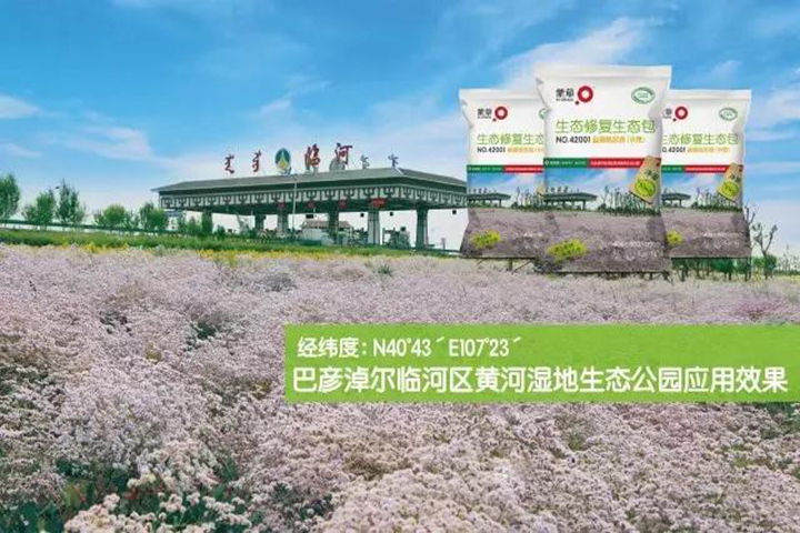 逐梦国际官方网站图片