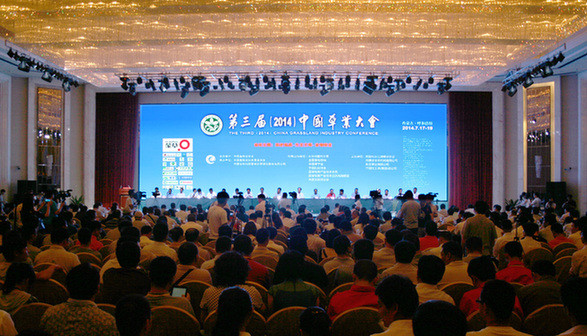 逐梦国际官方网站图片