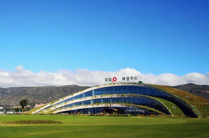 逐梦国际 60f5c