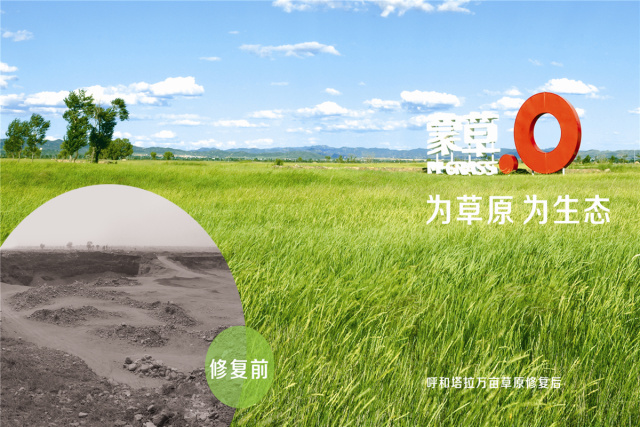 逐梦国际 5af2a