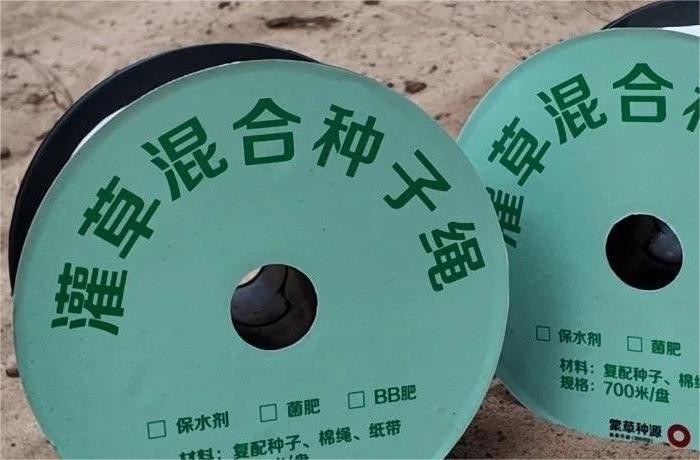 逐梦国际 0ed23