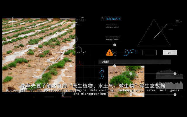逐梦国际 2737e