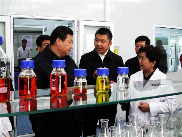 逐梦国际官方网站图片