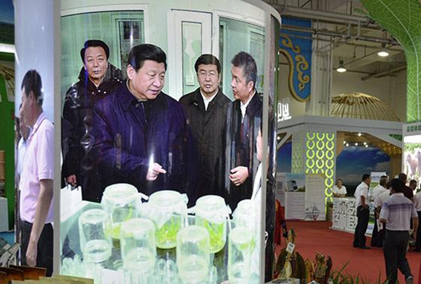 逐梦国际官方网站图片