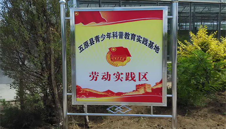 逐梦国际 8a80d
