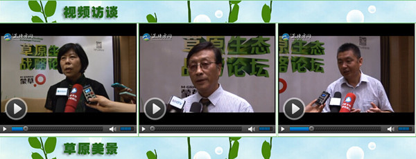 逐梦国际官方网站图片