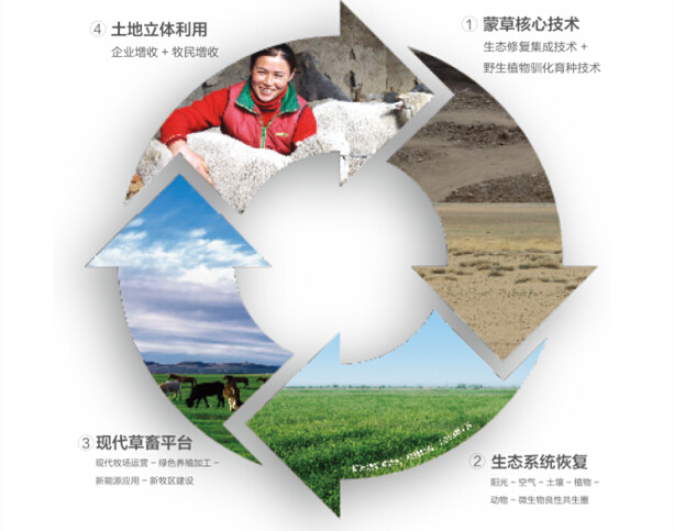 逐梦国际官方网站图片
