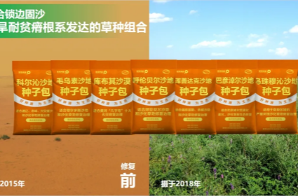 逐梦国际 61ebc