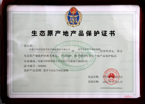 逐梦国际官方网站图片