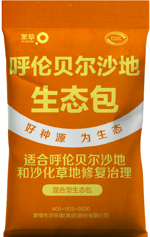 逐梦国际 b5a9c